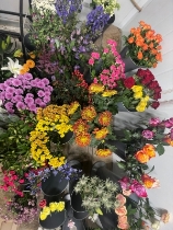 Florist Choice